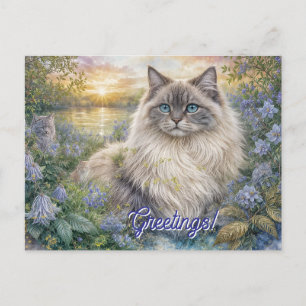 Flauschige Himalaya-Katze im violetten Garten beim Postkarte