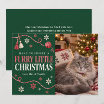 Flauschige kleine Weihnachtskatze Foto