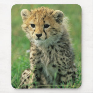 Flauschiges Gepardenjunges Mousepad