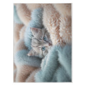 Flauschiges Kätzchen in einer weichen Decke (Vorderseite)