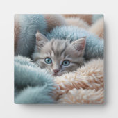 Flauschiges Kätzchen in einer weichen Decke Fotoplatte (Vorderseite)
