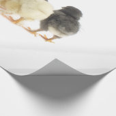 Flaute Geschenkpapier (Ecke)