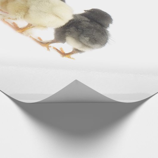 Flaute Geschenkpapier (Ecke)