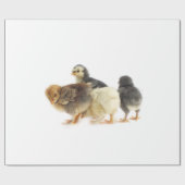 Flaute Geschenkpapier (Flach)