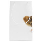 Flaute Kleine Geschenktüte (Rückseite)