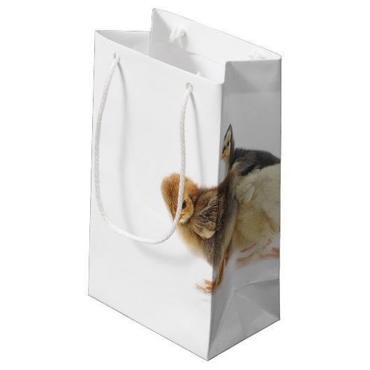 Flaute Kleine Geschenktüte (Rückseite Schrägansicht)