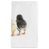 Flaute Kleine Geschenktüte (Vorderseite)