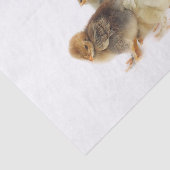 Flaute Seidenpapier (Ausschnitt)