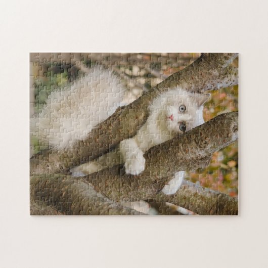 Flautige Katze mit blauen Augen in einem Baum Puzzle (Horizontal)