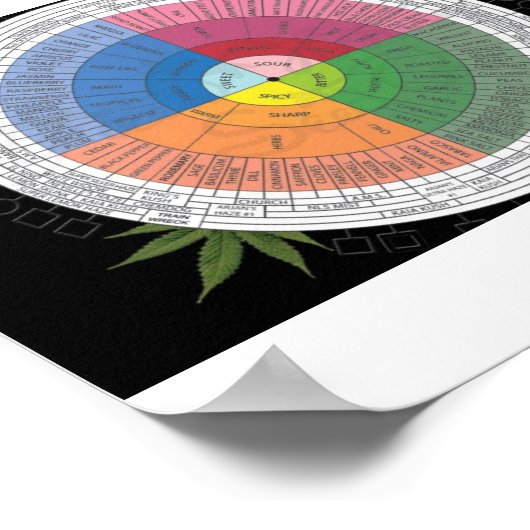 Flavour Wheel Poster (Ecke)