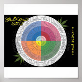 Flavour Wheel Poster (Vorne)
