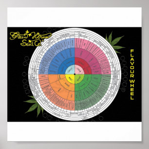 Flavour Wheel Poster