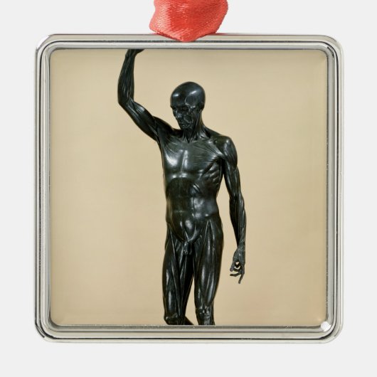 Flayed Körper Silbernes Ornament (Vorne)