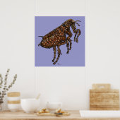 Flea auf Lilac Poster (Küche)