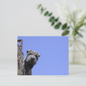 Flea Market Postkarte (Stehend Vorderseite)