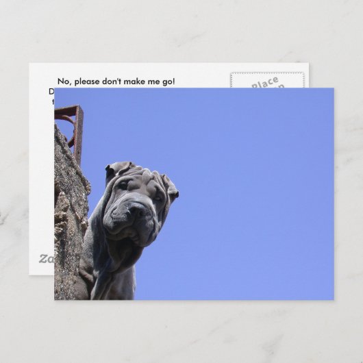 Flea Market Postkarte (Vorne/Hinten)