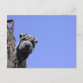 Flea Market Postkarte (Vorderseite)