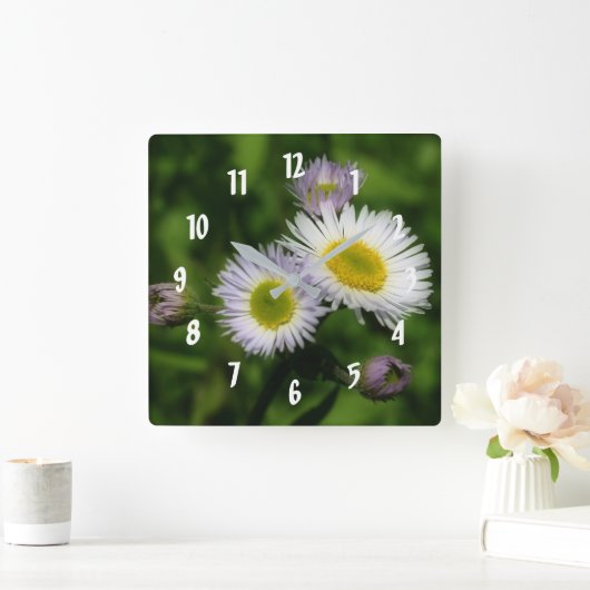 Fleabane Tiny Daisies Blume Quadratische Wanduhr (Zuhause)