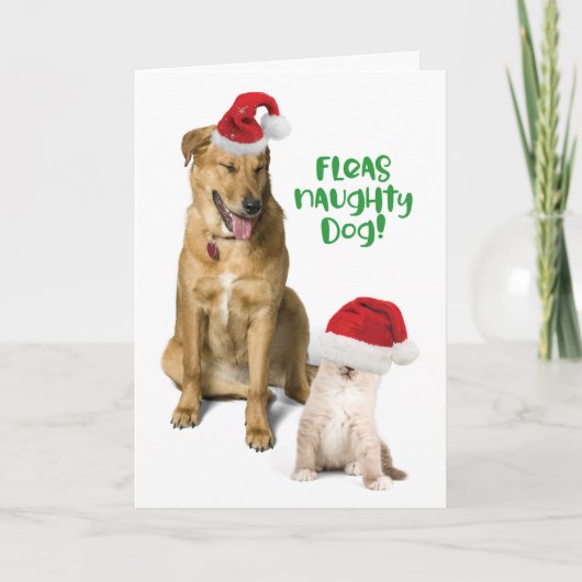 Fleas Naughty Hund Funny Weihnachten Hund und Katz (Vorderseite)