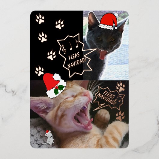 Fleas Navidad Singing Cats Weihnachtsgrüßkarte Folieneinladung (Vorderseite)