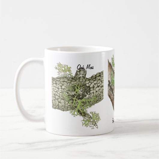 Flechte 1 kaffeetasse (Links)