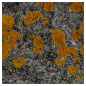 Flechte auf Granit-Fotogewebe Stoff (Nahaufnahme)