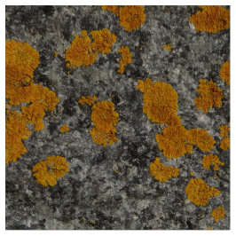 Flechte auf Granit-Fotogewebe Stoff