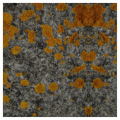 Flechte auf Granit-Fotogewebe Stoff (Muster)