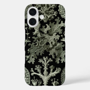 Flechte von Ernst Haeckel, Vintage Natur Pflanzen iPhone 16 Hülle