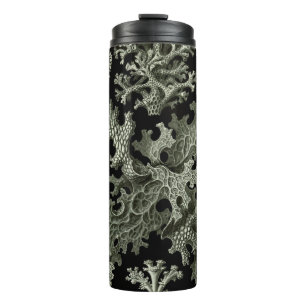 Flechte von Ernst Haeckel, Vintage-Naturpflanzen Thermosbecher