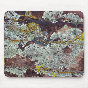 Flechten auf Felsen #4 Mousepad