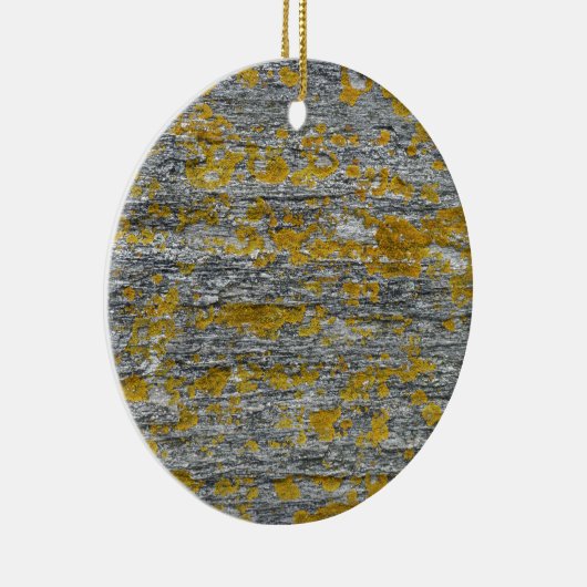 Flechten auf Granitstein Keramikornament (Rechts)