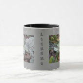 Flechten-Tasse Tasse (Zentrum)