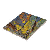 Flechtenbedeckte Felsen Fliese (Seite)