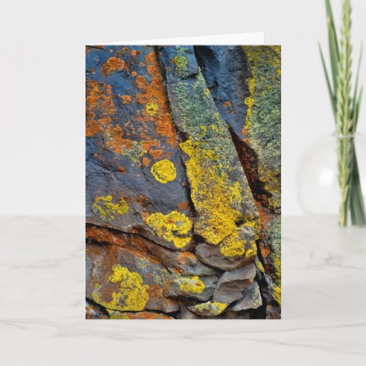 Flechtenbedeckte Felsen Karte (Vorderseite)