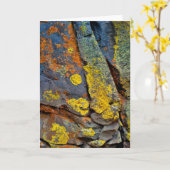 Flechtenbedeckte Felsen Karte (Gelbe Blume)
