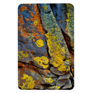 Flechtenbedeckte Felsen Magnet