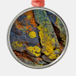 Flechtenbedeckte Felsen Ornament Aus Metall