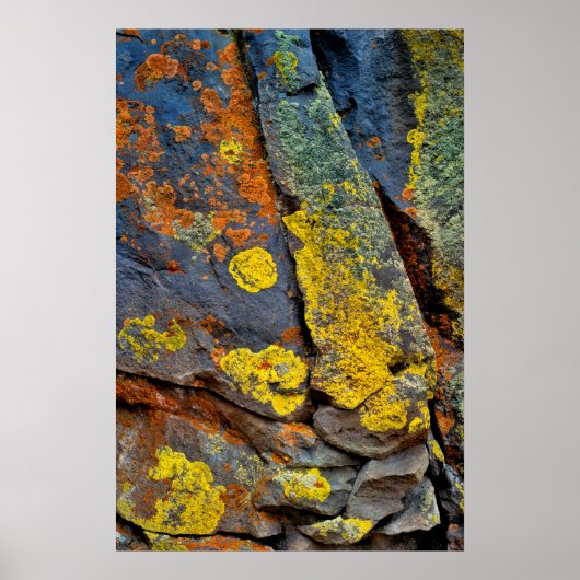 Flechtenbedeckte Felsen Poster (Vorne)