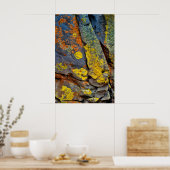 Flechtenbedeckte Felsen Poster (Küche)