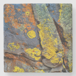 Flechtenbedeckte Felsen Steinuntersetzer