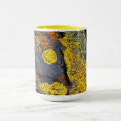 Flechtenbedeckte Felsen Tasse (Zentrum)