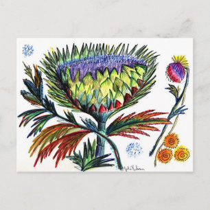 Fleck 42 Postkarte