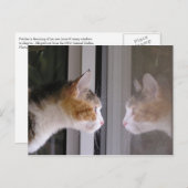 Flecken Ankündigungspostkarte (Vorne/Hinten)