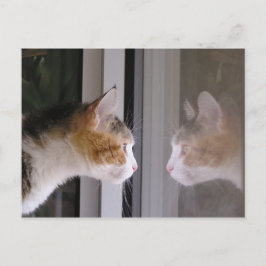 Flecken Ankündigungspostkarte