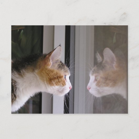 Flecken Ankündigungspostkarte (Vorderseite)