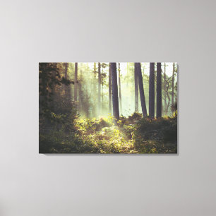 Flecken des Unterholzes im Wald Leinwanddruck