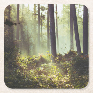 Flecken des Unterholzes im Wald Rechteckiger Pappuntersetzer