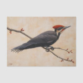 Fleckenspecht auf Baumzweig Seidenpapier (Vorderseite)