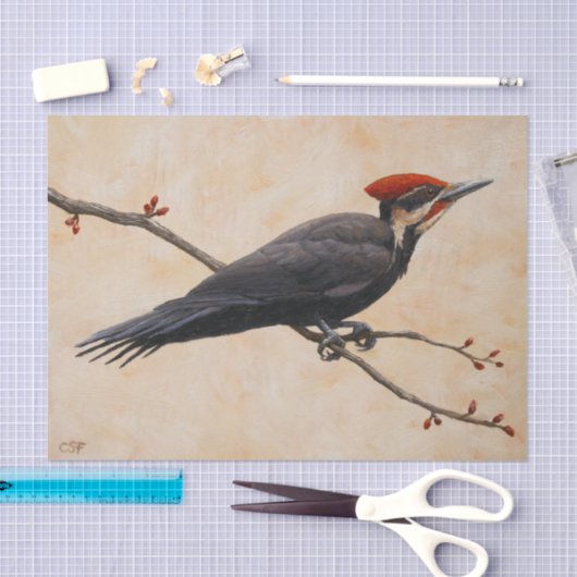 Fleckenspecht auf Baumzweig Seidenpapier (Handwerk)